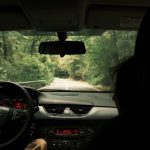 View from inside a car driving through a lush green forest on a serene day.